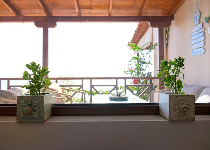 Paralio Astros Beachfront Daire